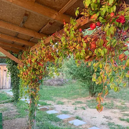 Yurt And A House With Garden - Special Experience Hébergement de vacances Ivad